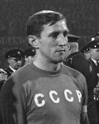 Albert Shesternyov