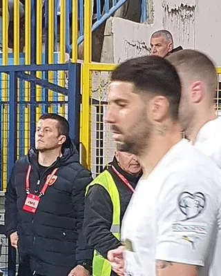 Aleksandar Mitrović