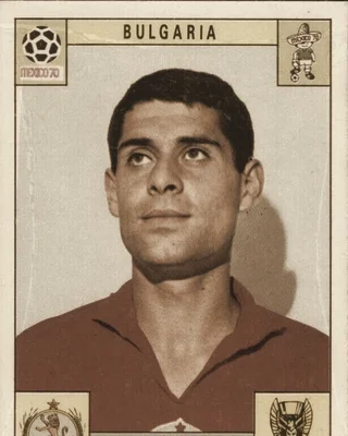 Aleksandar Shalamanov