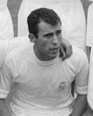 Amancio Amaro
