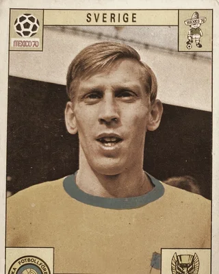 Bo Larsson