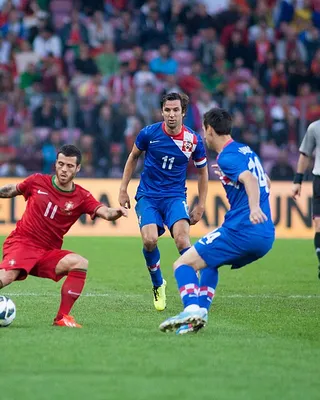 Darijo Srna