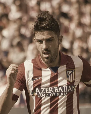 David Villa