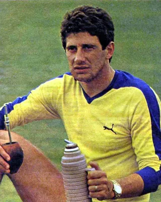 Fernando Morena