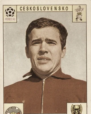 Ivo Viktor