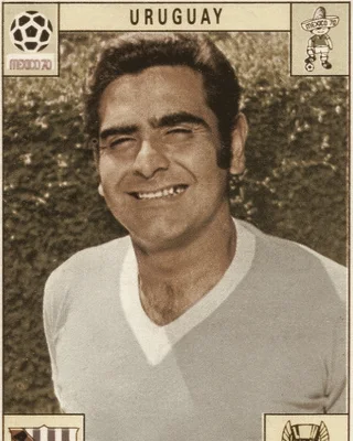 Luis Cubilla