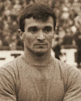 Milutin Šoškić