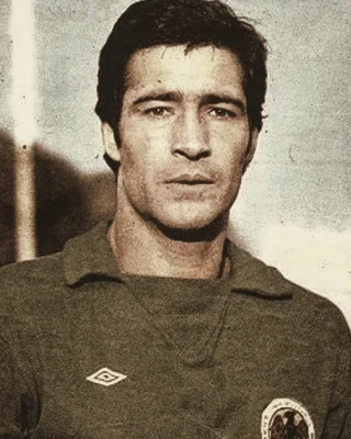 Nasser Hejazi