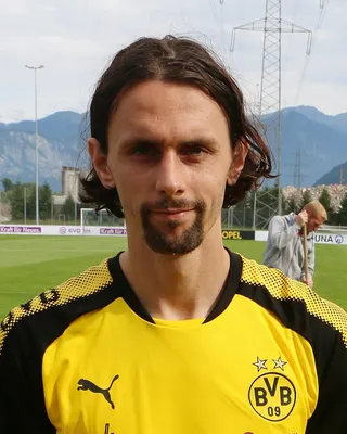 Neven Subotić