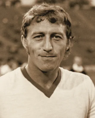 Nicolae Dobrin