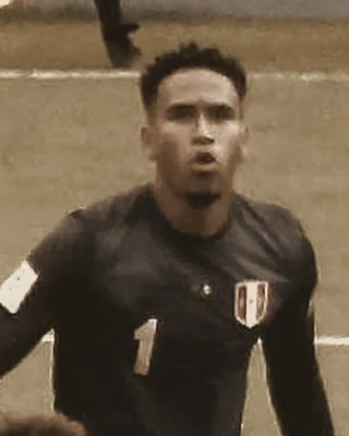 Pedro Gallese