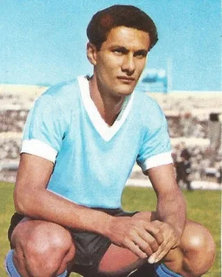 Pedro Rocha