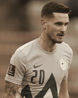 Petar Stojanović