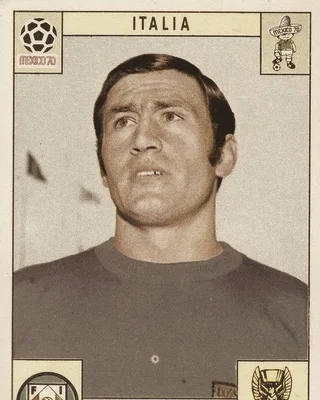 Tarcisio Burgnich
