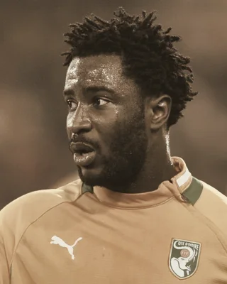 Wilfried Bony