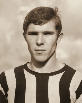 Willem van Hanegem