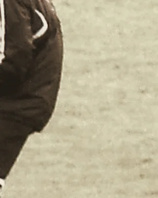 Yannick Bolasie
